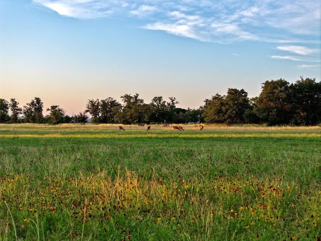 LOT1 Fm 2657, Briggs, TX 78608