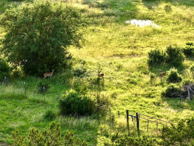 LOT1 Fm 2657, Briggs, TX 78608