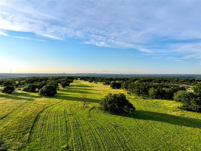 LOT1 Fm 2657, Briggs, TX 78608