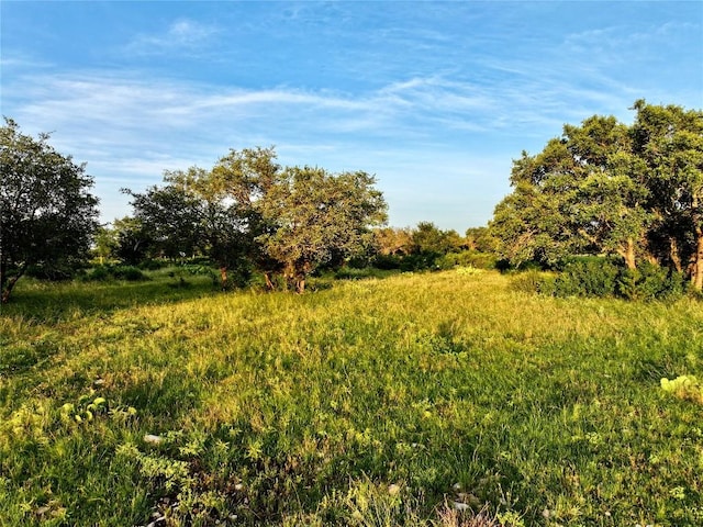LOT1 Fm 2657, Briggs, TX 78608