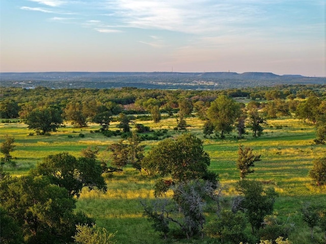 LOT1 Fm 2657, Briggs, TX 78608