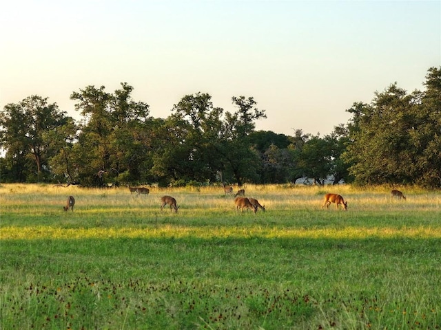 LOT1 Fm 2657, Briggs, TX 78608