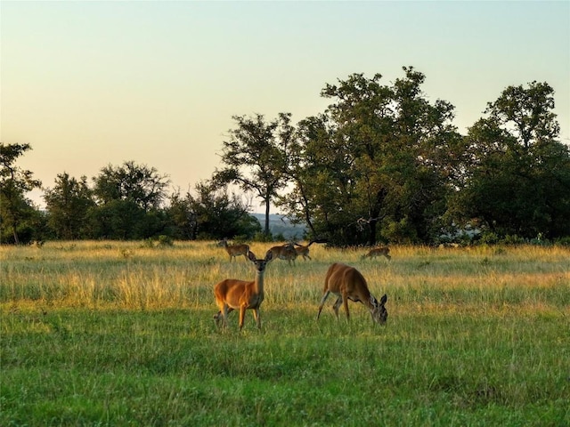 LOT1 Fm 2657, Briggs, TX 78608