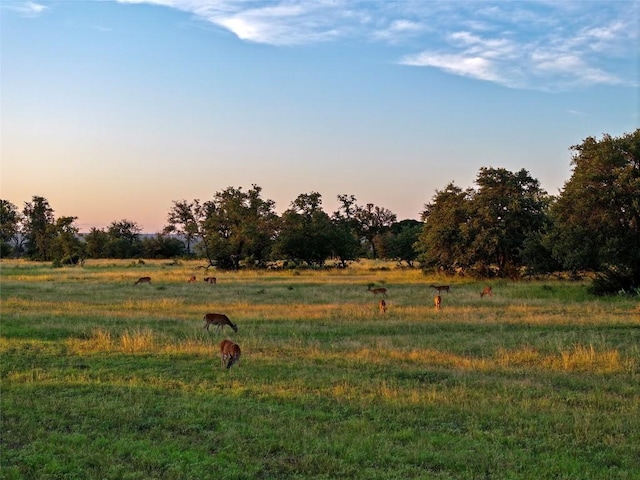 LOT1 Fm 2657, Briggs, TX 78608
