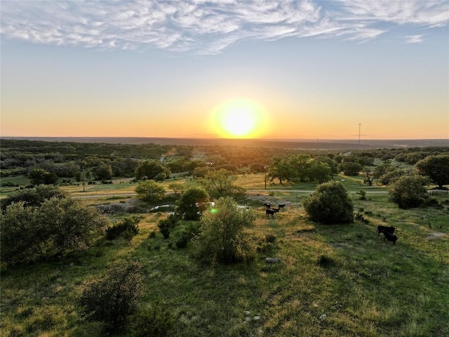 LOT1 Fm 2657, Briggs, TX 78608