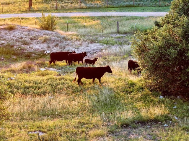 LOT1 Fm 2657, Briggs, TX 78608