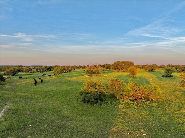 LOT1 Fm 2657, Briggs, TX 78608