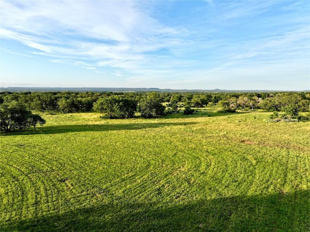 LOT1 Fm 2657, Briggs, TX 78608