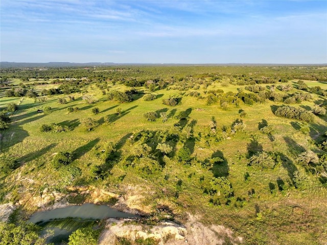 LOT1 Fm 2657, Briggs, TX 78608