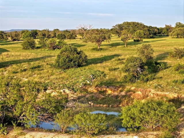 LOT1 Fm 2657, Briggs, TX 78608