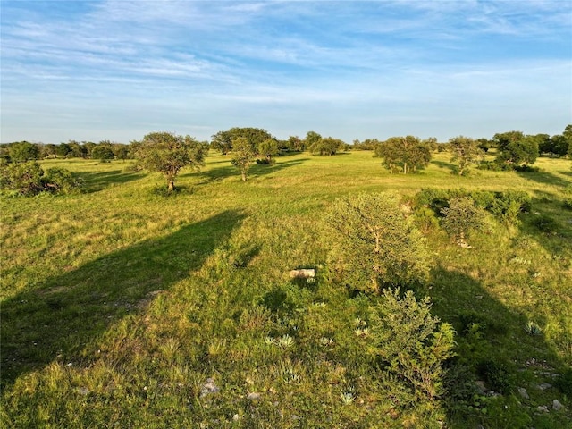LOT1 Fm 2657, Briggs, TX 78608