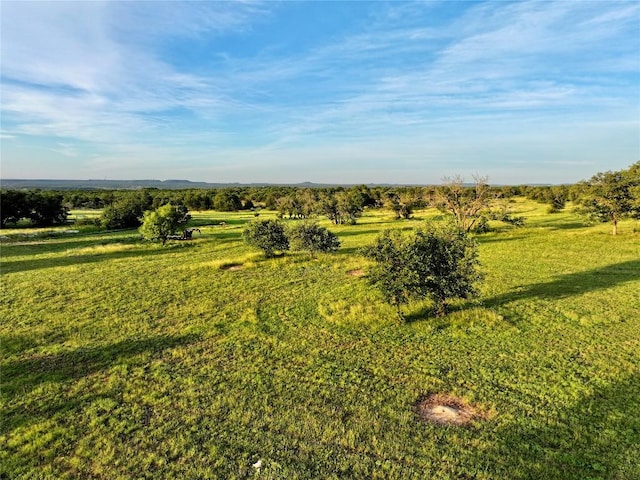 LOT1 Fm 2657, Briggs, TX 78608