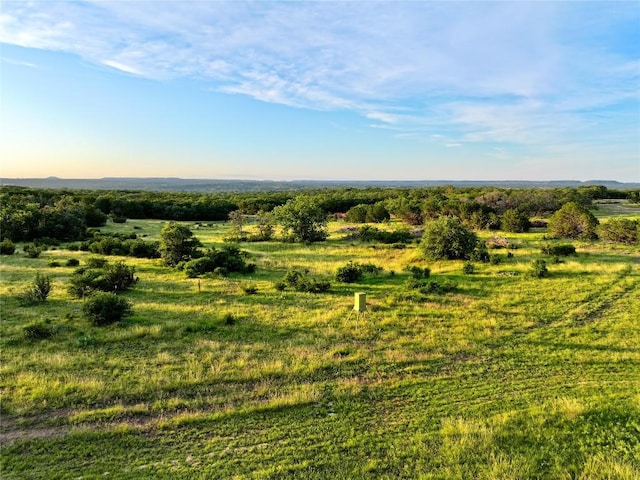 LOT1 Fm 2657, Briggs, TX 78608