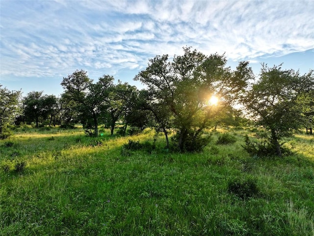 LOT1 Fm 2657, Briggs, TX 78608