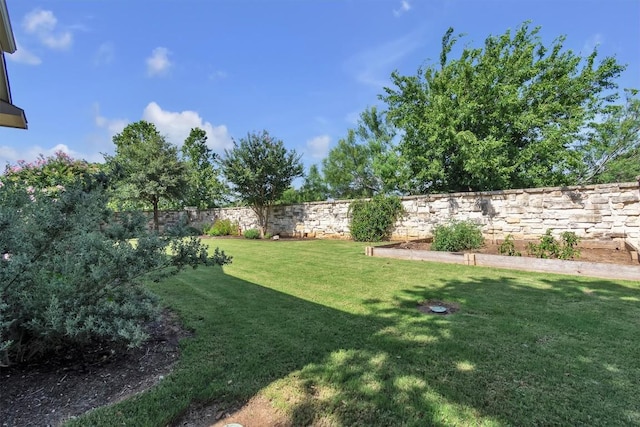 101 Dorado St, Georgetown, TX 78628 - fenced backyard with a garden