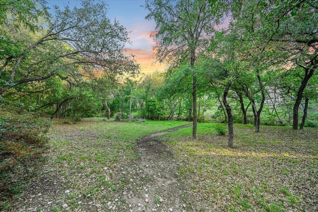 9105 Westminster Glen Ave, Austin, TX 78730 - view of yard