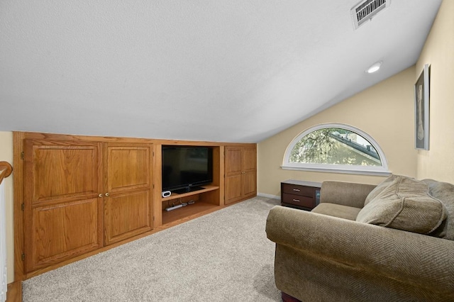 6712 Shiner St, Austin, TX 78729 - living room featuring lofted ceiling and carpet floors