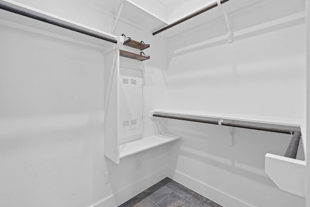 164 Mary Cornelia Cv, Buda, TX 78610 - view of walk in closet