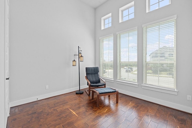 164 Mary Cornelia Cv, Buda, TX 78610 - sitting room featuring dark wood-type flooring and a high ceiling