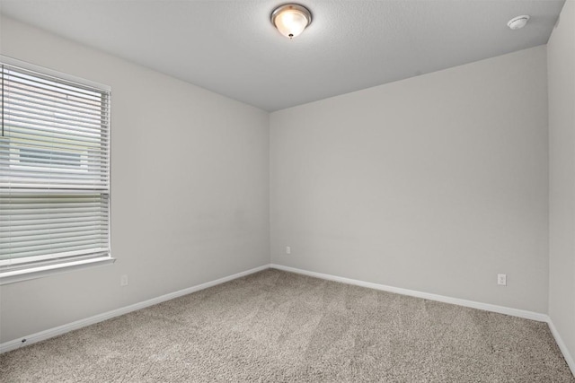 557 Rearing Mare Pass, Georgetown, TX 78626 - photo 16
