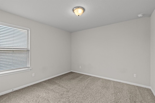 557 Rearing Mare Pass, Georgetown, TX 78626 - photo 26
