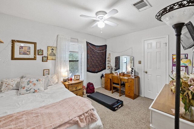 10612 Marshitahs Way, Austin, TX 78748 - photo 19