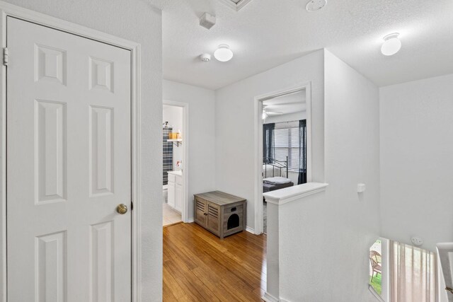 10612 Marshitahs Way, Austin, TX 78748 - photo 26