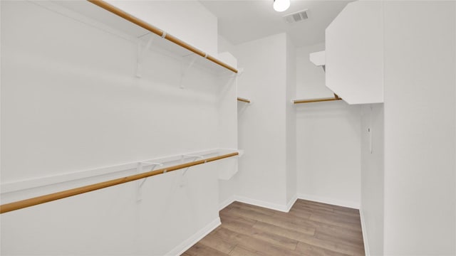 1086 Sussex Way, Round Rock, TX 78665 - walk in closet with light wood-style floors