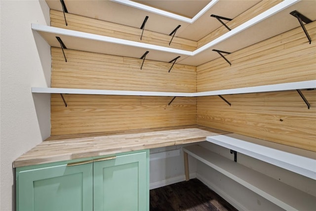3203 Saint Genevieve Dr, Leander, TX 78641 - storage room with a relaxing sauna