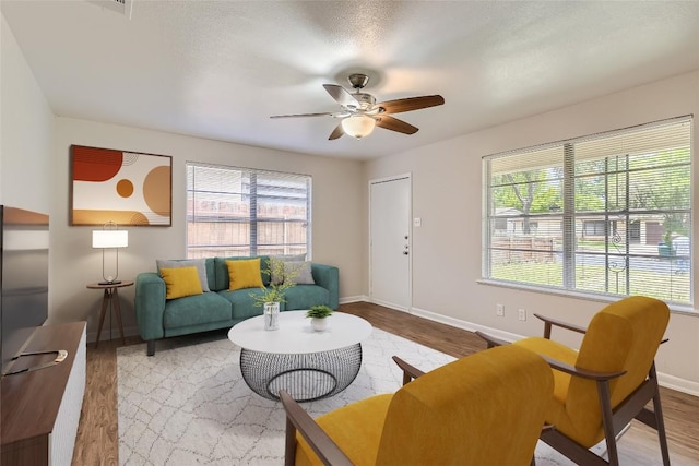 4805 Hilldale Dr, Austin, TX 78723 - living area with wood finished floors, ceiling fan, and plenty of natural light