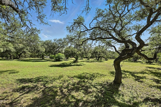 11803 Jess Dr, Austin, TX 78737 - photo 28