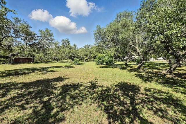 11803 Jess Dr, Austin, TX 78737 - view of grassy yard