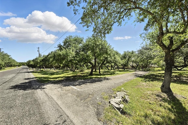 11803 Jess Dr, Austin, TX 78737 - view of road