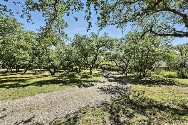11803 Jess Dr, Austin, TX 78737 - view of dirt / gravel driveway