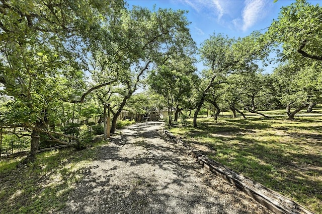 11803 Jess Dr, Austin, TX 78737 - view of dirt / gravel driveway