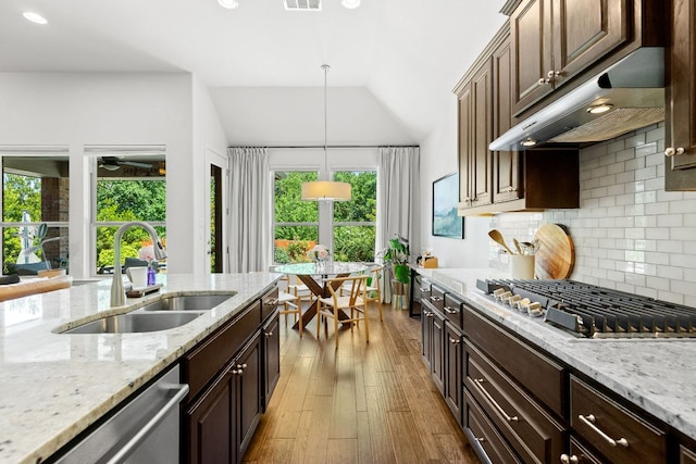 2977 Diego Dr, Round Rock, TX 78665 - kitchen featuring appliances with stainless steel finishes, under cabinet range hood, vaulted ceiling, wood finished floors, and backsplash