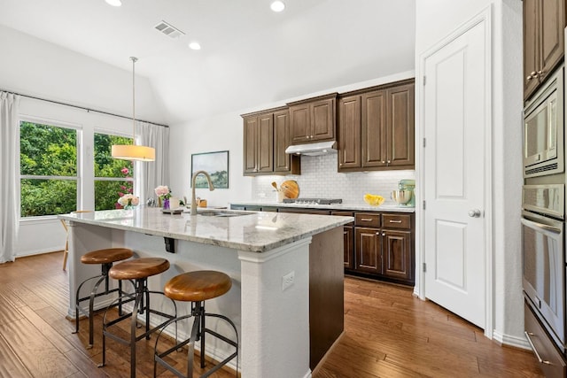 2977 Diego Dr, Round Rock, TX 78665 - kitchen featuring appliances with stainless steel finishes, vaulted ceiling, a center island with sink, dark wood-style floors, and under cabinet range hood