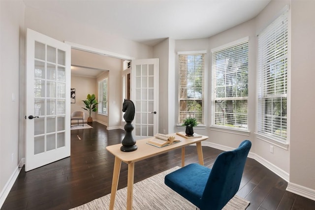 201 Montalcino Blvd, Austin, TX 78734 - office area with french doors, healthy amount of natural light, and hardwood / wood-style floors