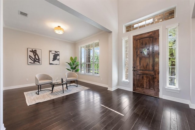 201 Montalcino Blvd, Austin, TX 78734 - foyer featuring plenty of natural light, wood finished floors, and ornamental molding