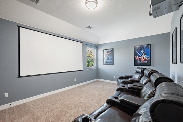 201 Montalcino Blvd, Austin, TX 78734 - cinema room featuring carpet floors, vaulted ceiling, and a textured ceiling