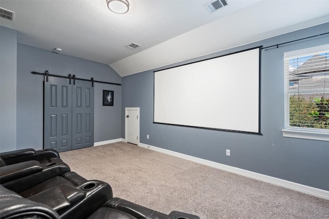 201 Montalcino Blvd, Austin, TX 78734 - carpeted cinema room featuring vaulted ceiling and a barn door