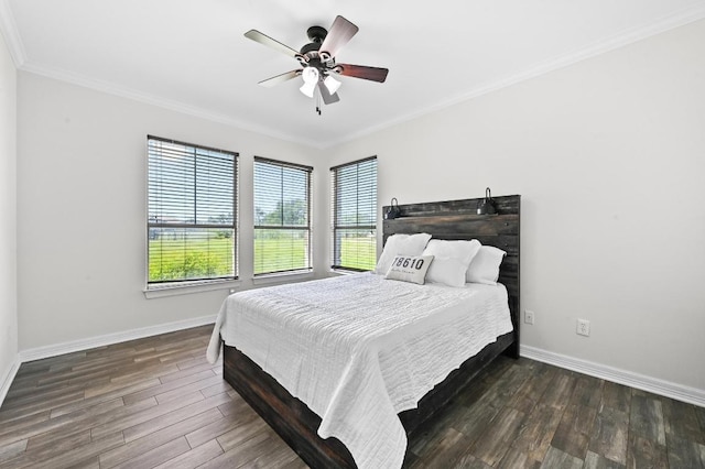 210 Clark Cv, Buda, TX 78610 - photo 23