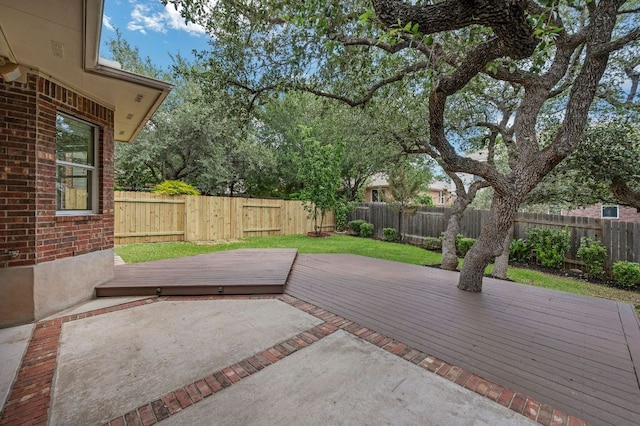 202 Muscovy Ln, Cedar Park, TX 78613 - fenced backyard featuring a deck and a patio area