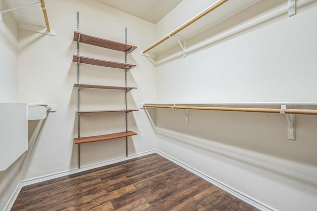 202 Muscovy Ln, Cedar Park, TX 78613 - walk in closet featuring wood finished floors