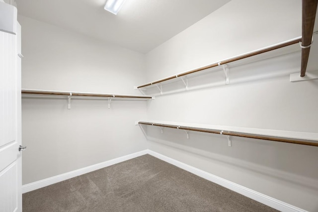 14016 Tyburn Trl, Austin, TX 78717 - spacious closet with carpet