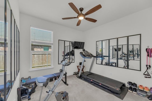 136 Everglades Ave, Taylor, TX 76574 - workout room with a ceiling fan and carpet flooring