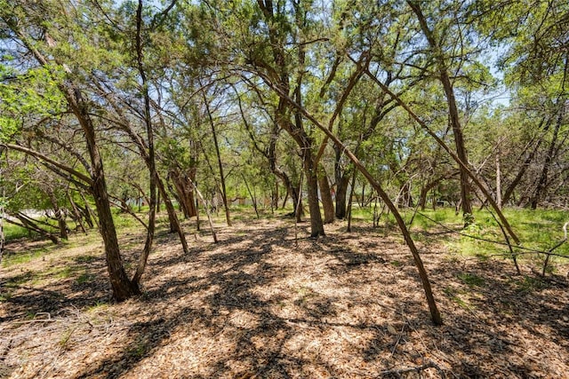 1311 Emerald Rd, Lago Vista, TX 78645