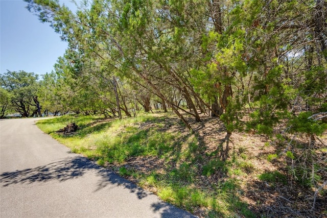 1311 Emerald Rd, Lago Vista, TX 78645