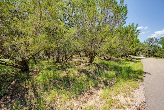 1311 Emerald Rd, Lago Vista, TX 78645