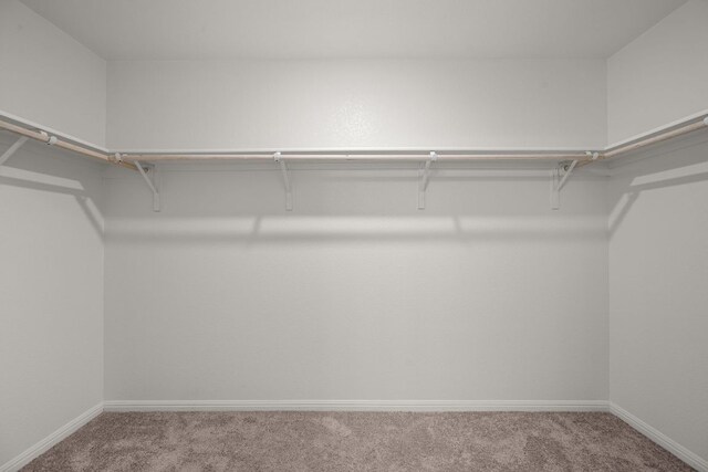 701 Redfish Ln, Hutto, TX 78634 - walk in closet featuring carpet
